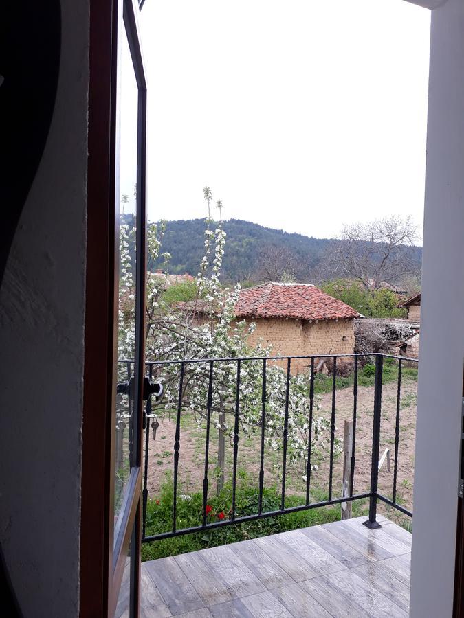 Popovi Koshari Guest House Dolno Panicherevo Bagian luar foto